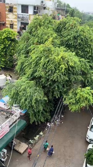 3 BHK Apartment – Garden View at Panchsheel Greens Luxury Apartments, L Zone - for Sale