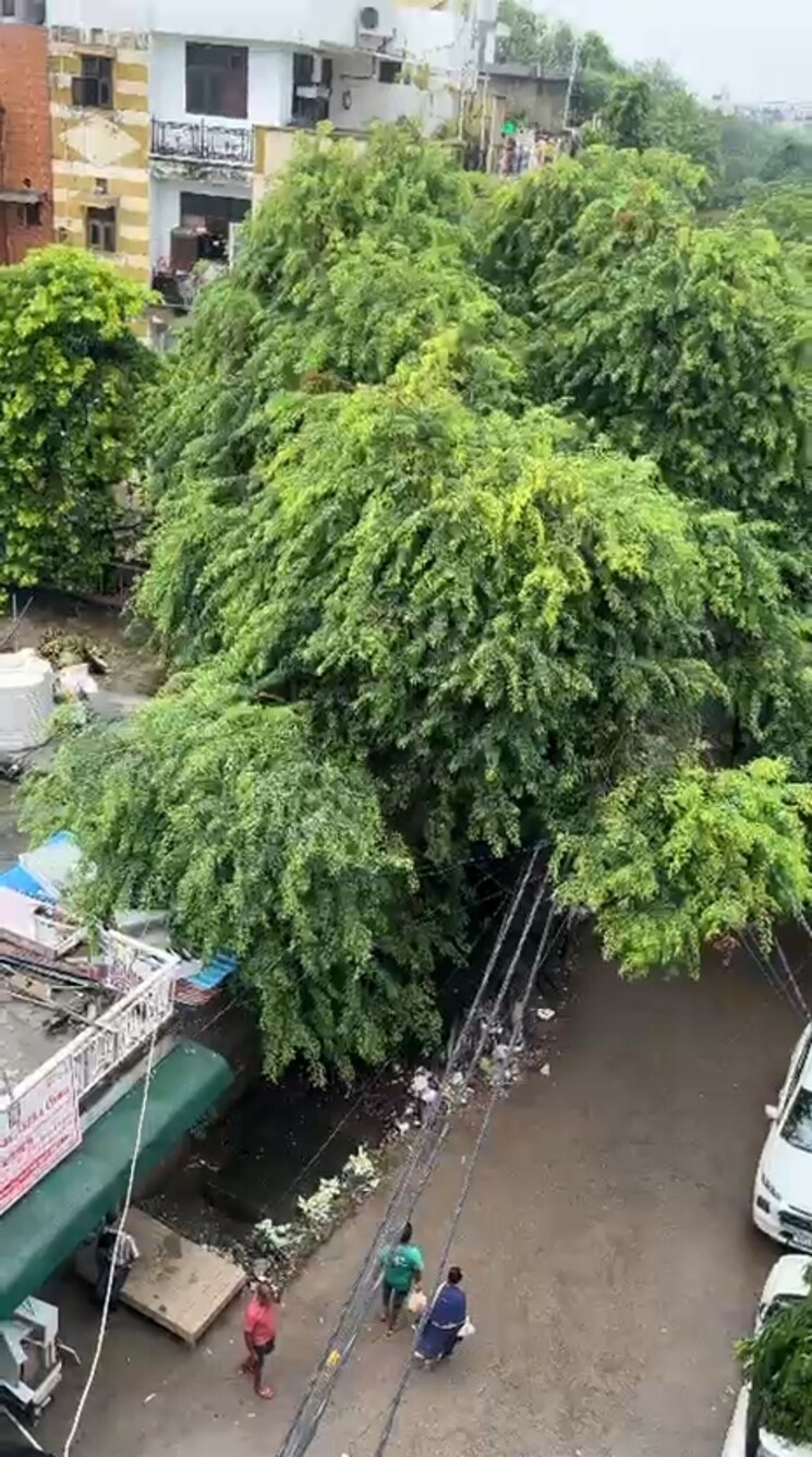 Garden, panchsheel-greens-luxury-apartments 3 Bedroom 140 Sq.Yd. Apartment In L Zone Delhi 9056137