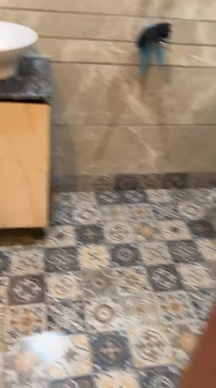 Other, panchsheel-greens-luxury-apartments 3 Bedroom 140 Sq.Yd. Apartment In L Zone Delhi 9056137