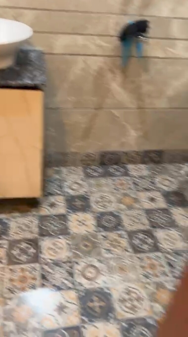 Other, panchsheel-greens-luxury-apartments 3 Bedroom 140 Sq.Yd. Apartment In L Zone Delhi 9056137