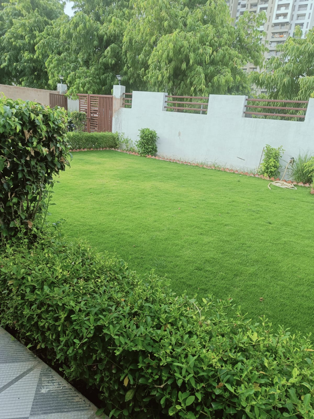 3 BHK Independent House For Rent in RWA Apartments Sector 108