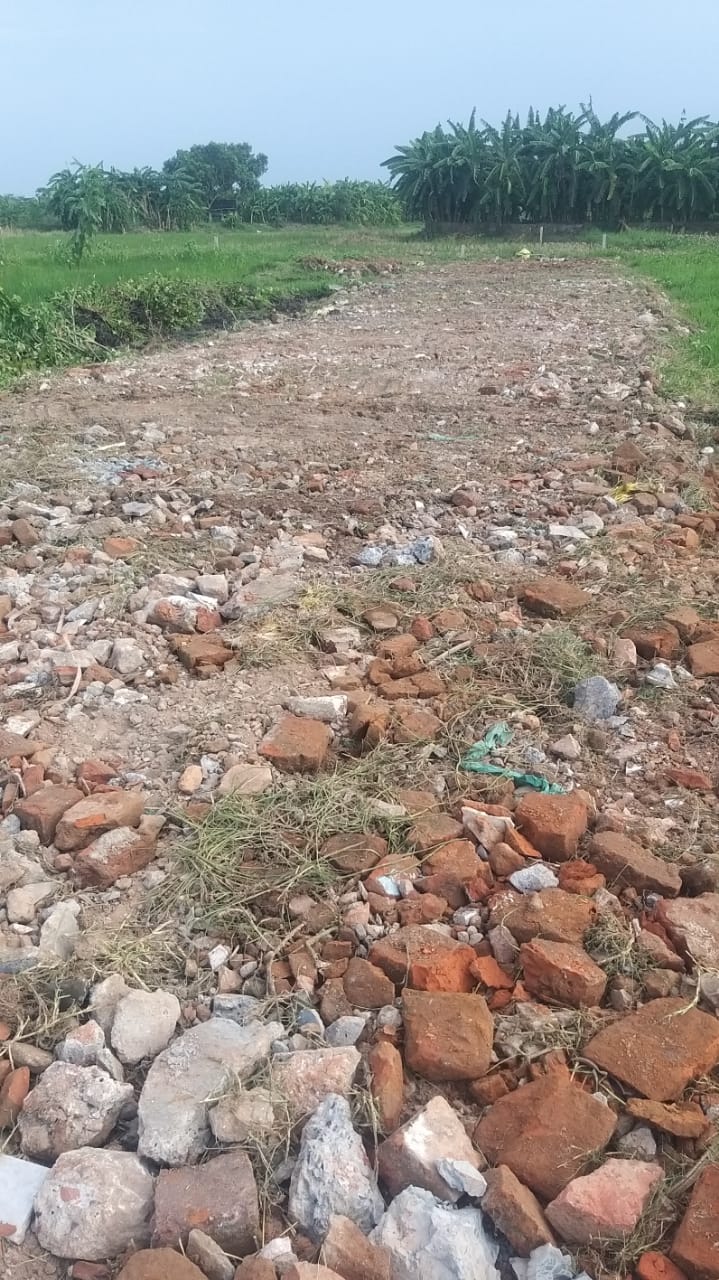 Plot For Sale in Nature Paradise 