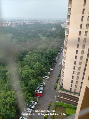 3.5 BHK Apartment – Exterior View View at Sector 20 - for Sale