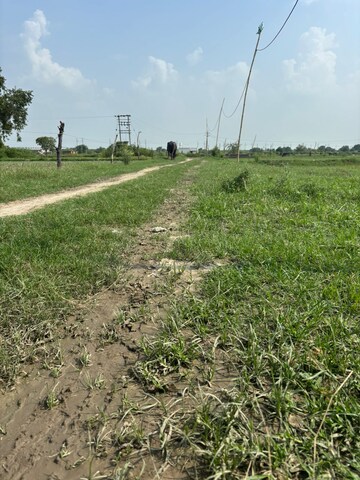 Plot Area in  Plot at Dalelpur Village – for Sale