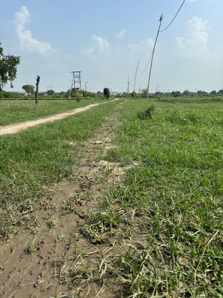 undefined, dalelpur village  150 Sq.Yd. Plot In Dalelpur Village Noida 9056317