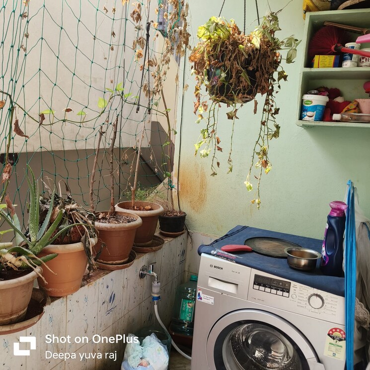 Team Area, pragathi nagar 2 Bedroom 950 Sq.Ft. Apartment In Pragathi Nagar Hyderabad 9056354