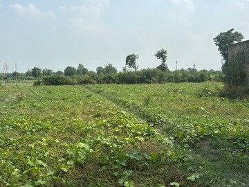 Plot Area in  Plot at Dalelpur Village – for Sale