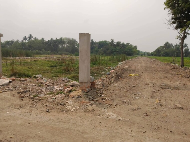 undefined, joka  1440 Sq.Ft. Plot In Joka Kolkata 9056398