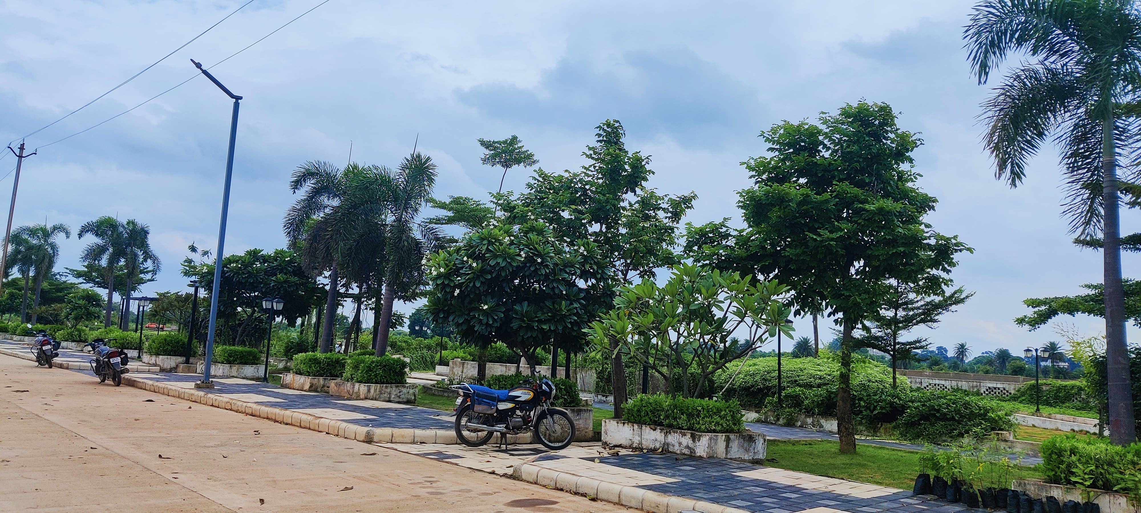 Plot For Sale in Royal Avenue 