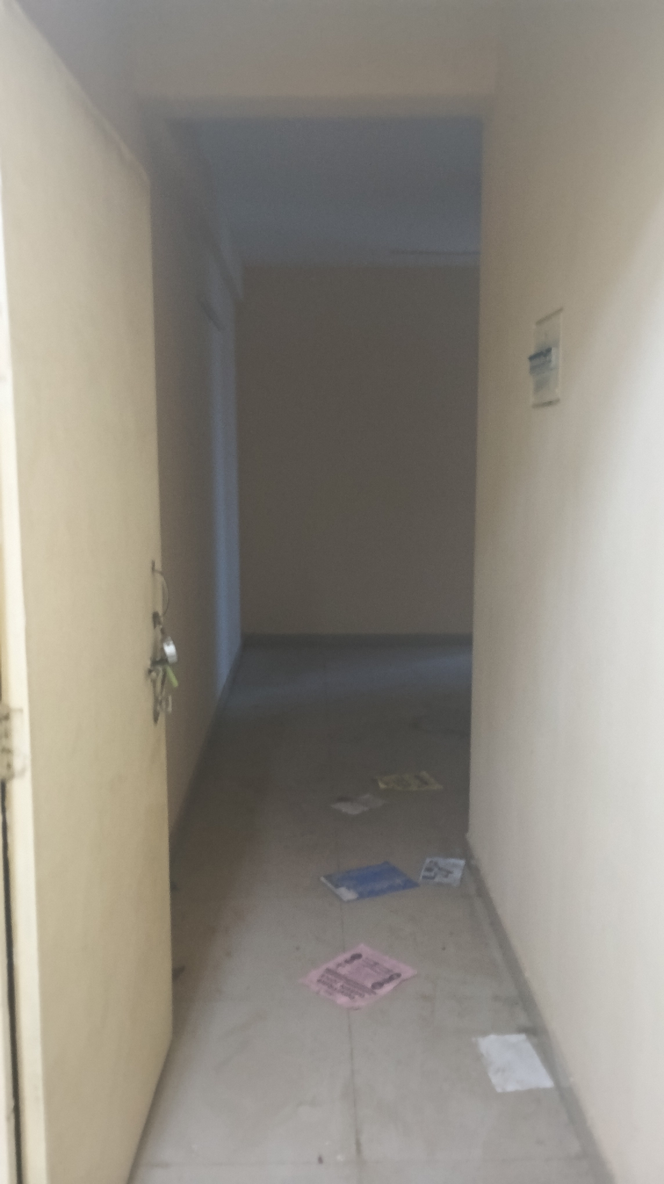 2.5 BHK Apartment For Rent in Pyramid Urban Homes 2