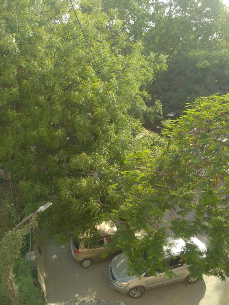 Garden, dda-rosewood-apartments 3 Bedroom 1500 Sq.Ft. Apartment In Vasant Kunj Delhi 9056437