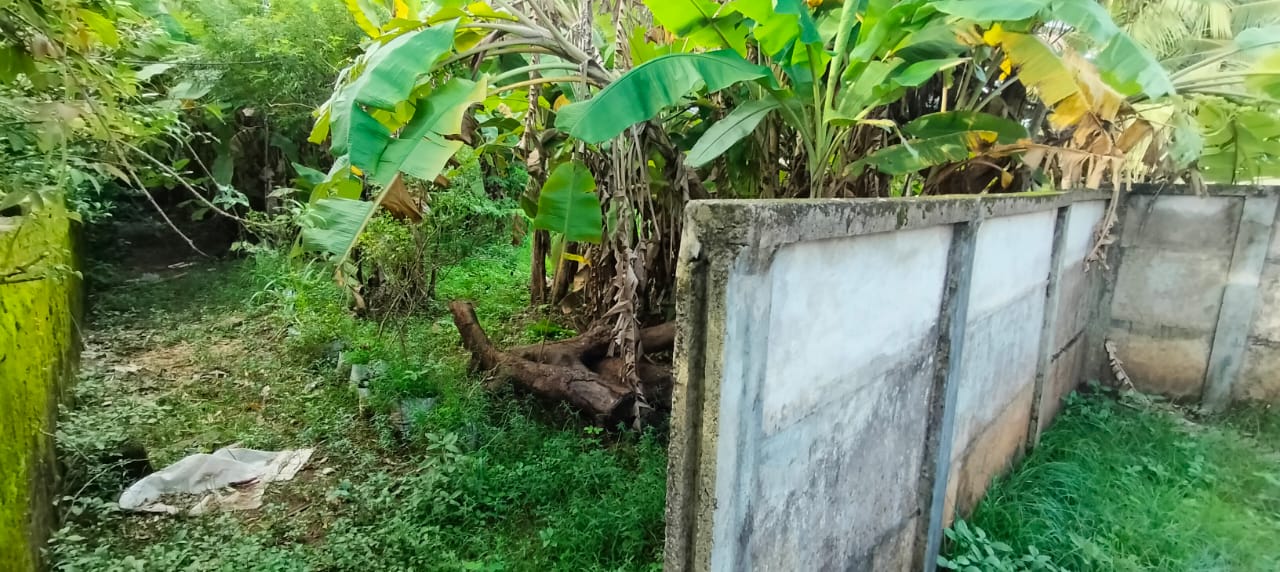 Plot For Sale in Ponkunnam