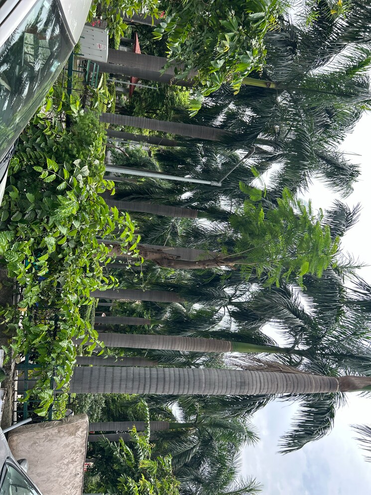 Other, sector 27 2 Bedroom 1123 Sq.Ft. Independent House In Sector 27 Noida 9056807