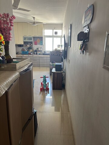 2 BHK Apartment For Rent in Tulip Lemon, Sector 69
