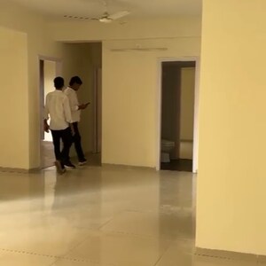 3 BHK Apartment For Rent in Tulip Violet, Sector 69