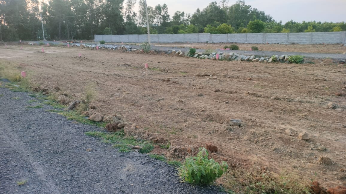 Plot For Sale in Samsur