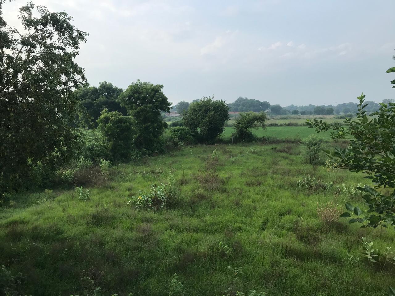 Plot For Sale in Godrej Retreat