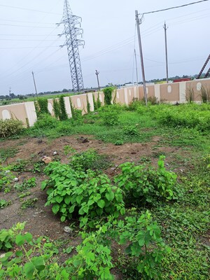  Land For Sale in Ringnodiya