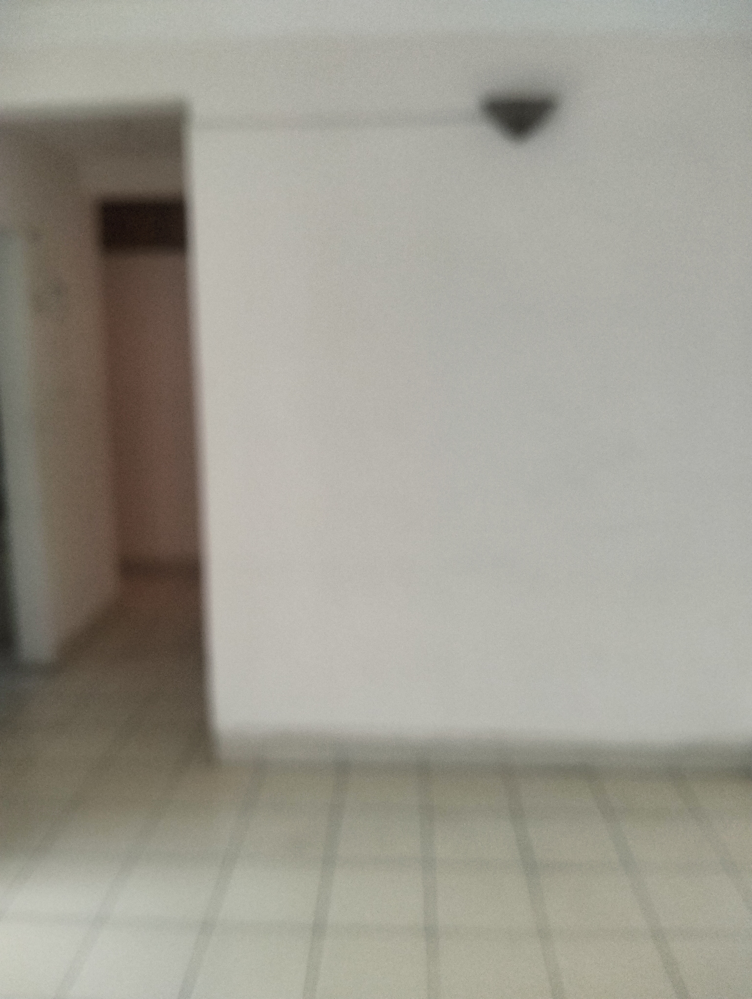 3 BHK 1550 Sq.Ft. Apartment in Eisha Palace