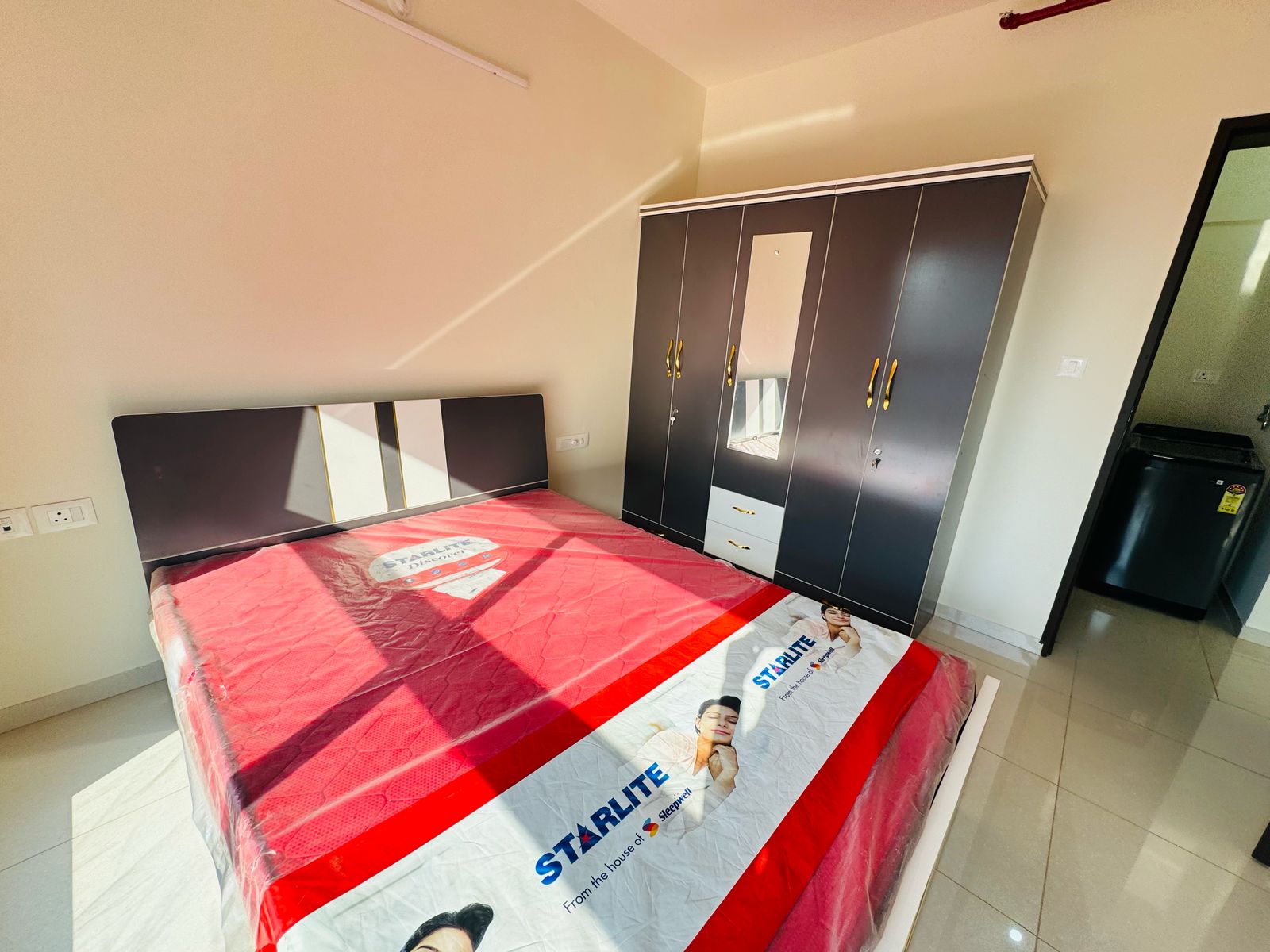 1 BHK Apartment For Rent in Paranjape Blue Ridge