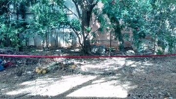  Land For Rent in Kammanahalli