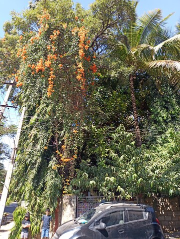 Land – Exterior View View at Kammanahalli - for Rent