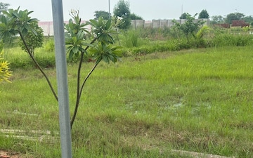 Plot For Sale in Barsana