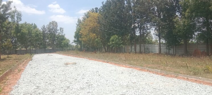 undefined, kodigehalli  3200 Sq.Ft. Plot In Kodigehalli Bangalore 9057501