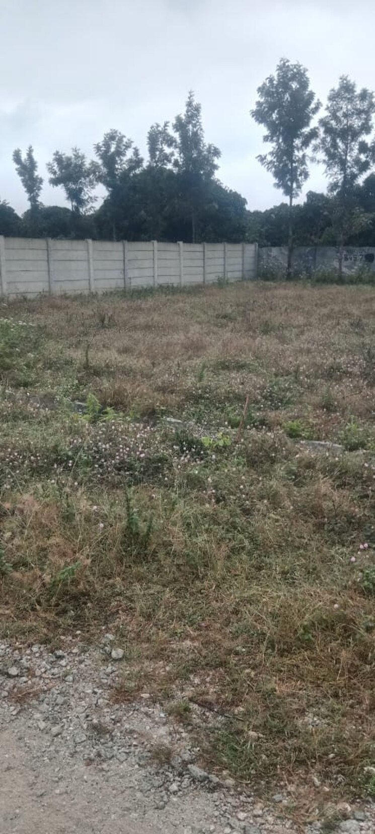 undefined, kodigehalli  5600 Sq.Ft. Plot In Kodigehalli Bangalore 9057526