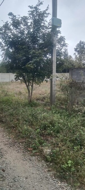 Plot Area in  Plot at Kodigehalli – for Sale