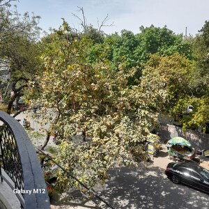 Parking in 3 BHK Builder Floor at Greater Kailash I – for Sale