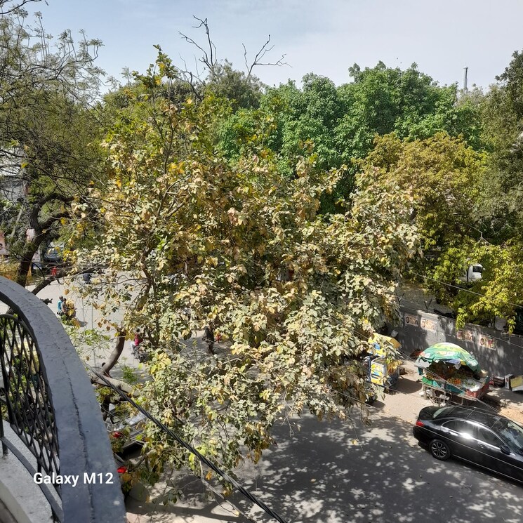  Parking, greater kailash i 3 Bedroom 208 Sq.Yd. Builder Floor In Greater Kailash I Delhi 9057612