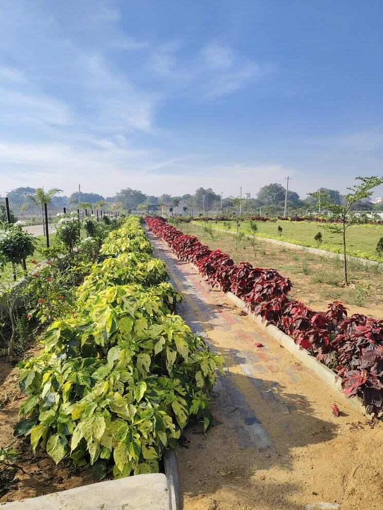 Garden, kothur  152 Sq.Yd. Plot In Kothur Hyderabad 9058362