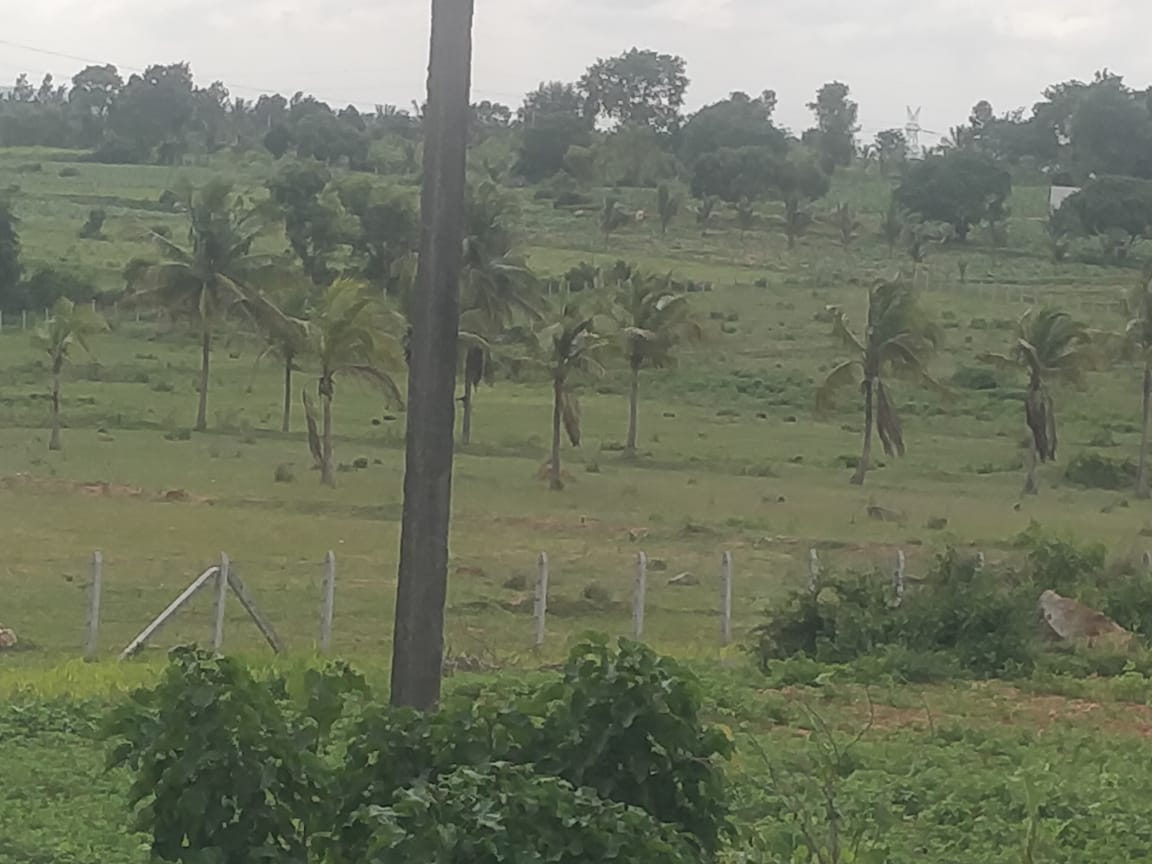 Plot For Sale in Hebbal Kempapura