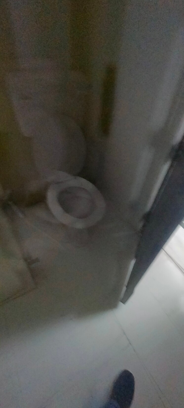 Bathroom, gomti nagar 2 Bedroom 1250 Sq.Ft. Villa In Gomti Nagar Lucknow 9058485