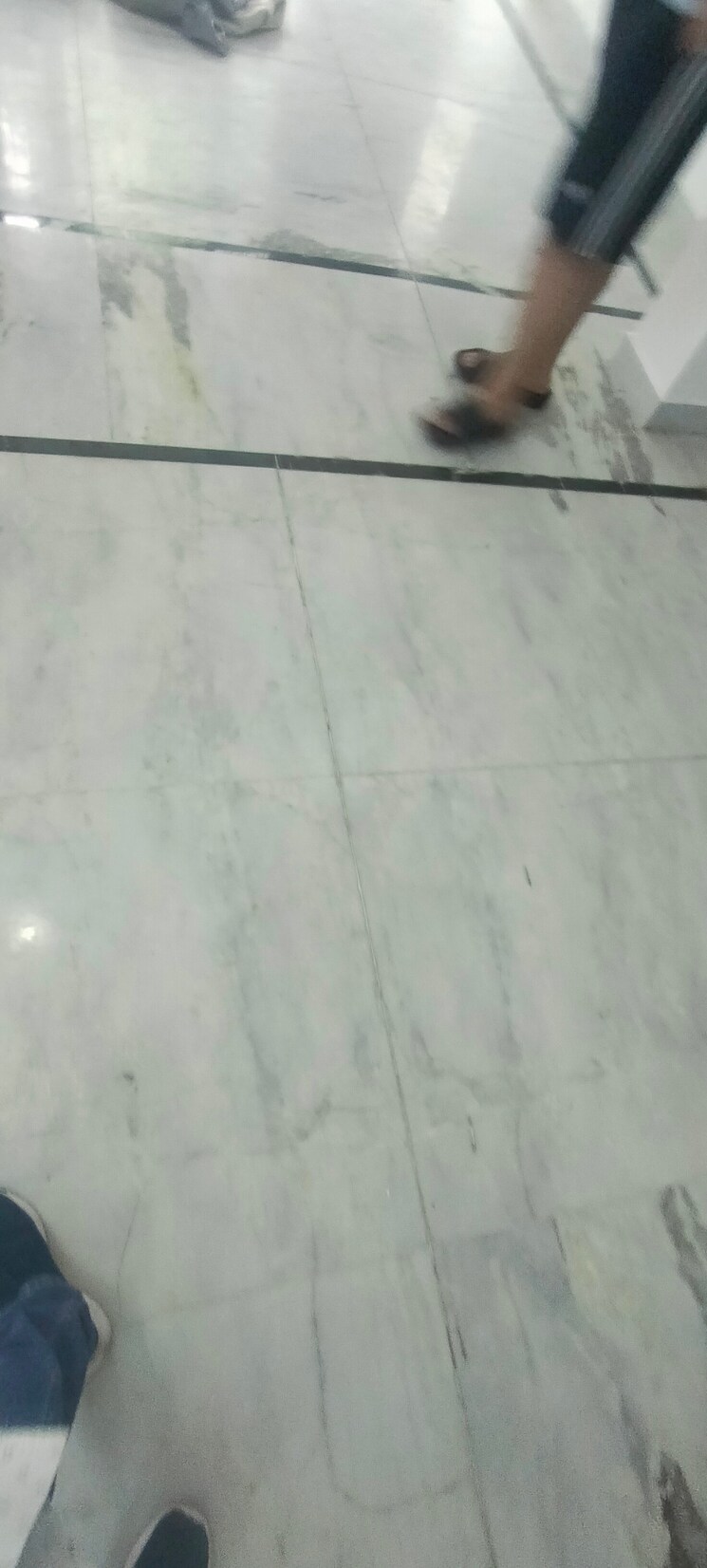 Room, gomti nagar 2 Bedroom 1250 Sq.Ft. Villa In Gomti Nagar Lucknow 9058485