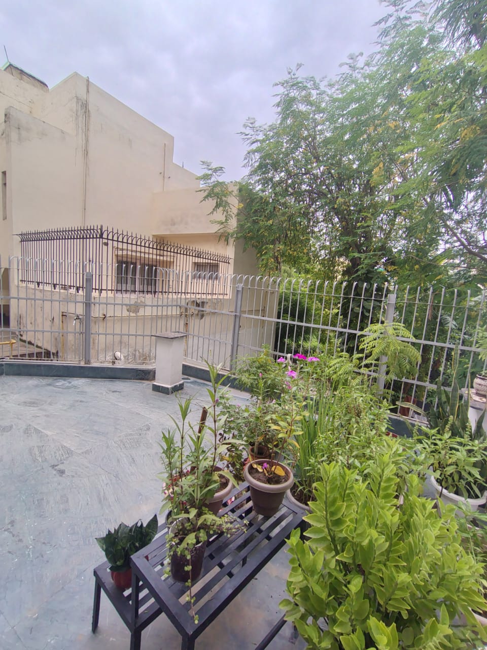 3.5 BHK Builder Floor For Rent in Saket Duplex