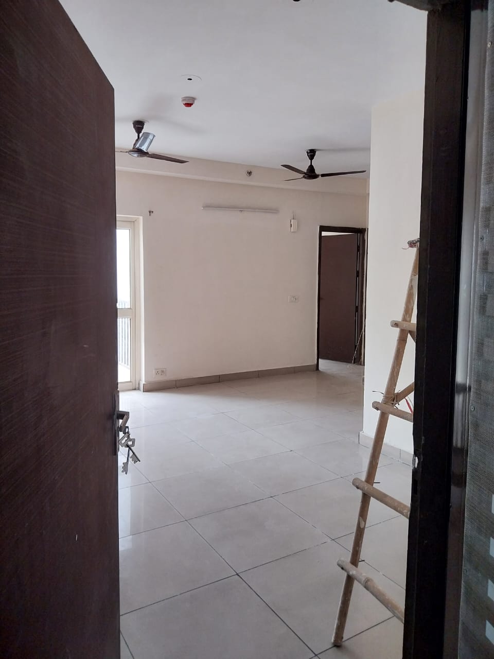 3 BHK Apartment For Rent in Panchsheel Greens