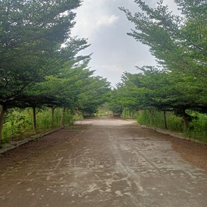  Plot For Sale in Chandapura