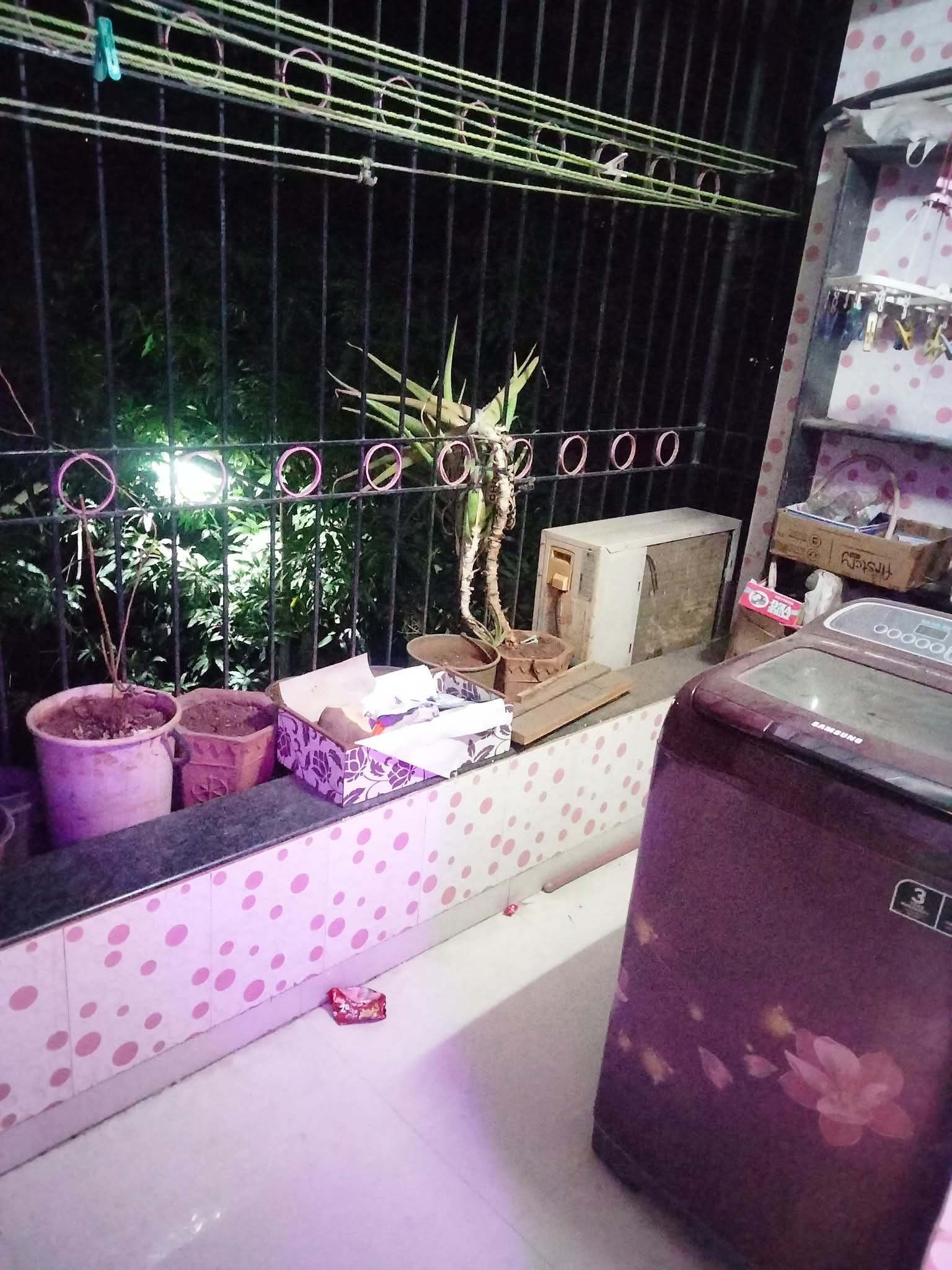 2 BHK Apartment For Rent in Mahesh Park