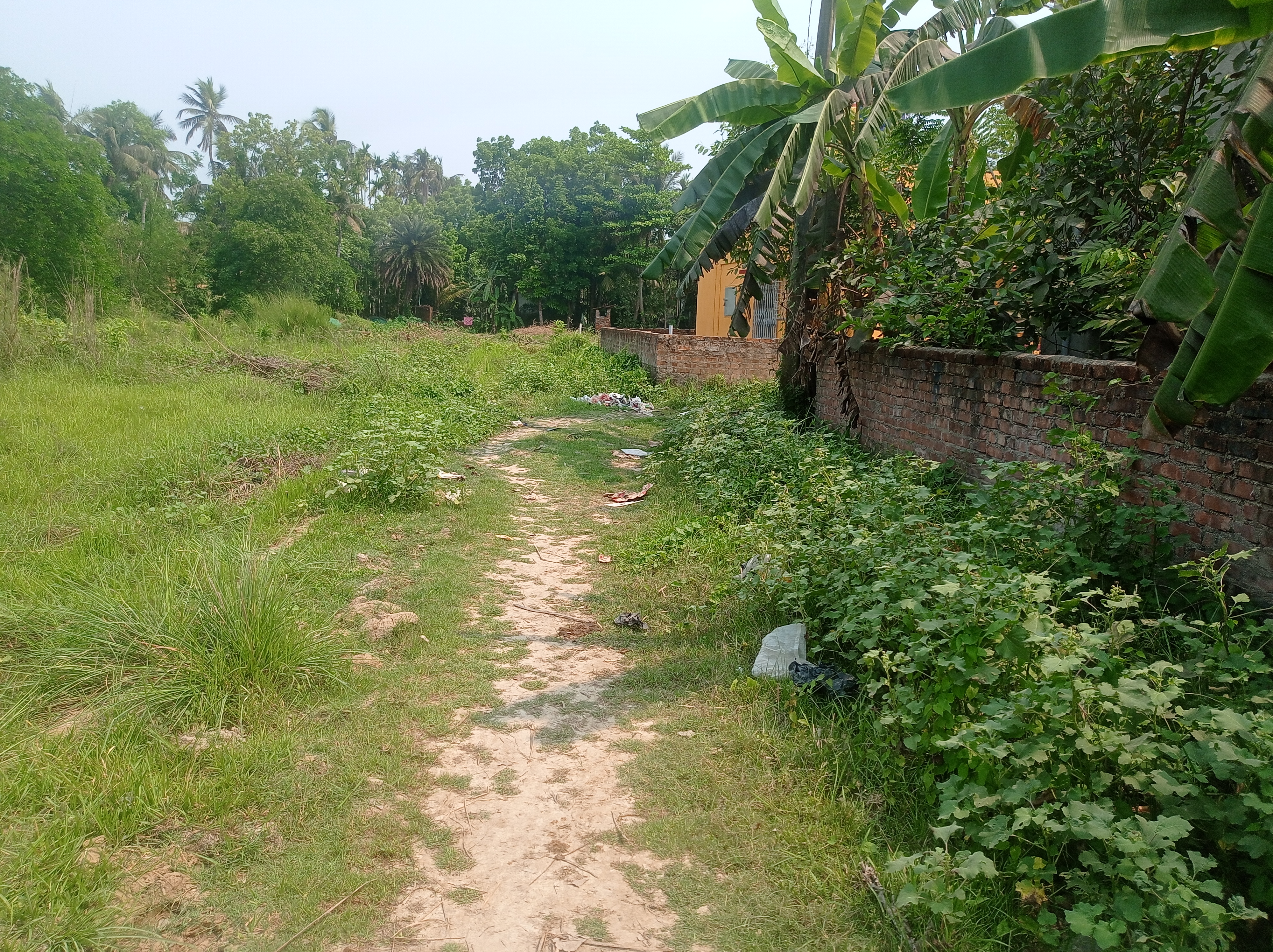 Plot For Sale in Plot In Joka