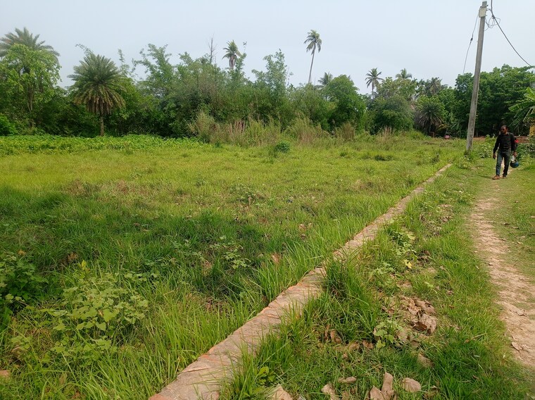 undefined, joka  3600 Sq.Ft. Plot In Joka Kolkata 9059045