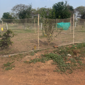 Plot Area in  Plot at Poranki – for Sale