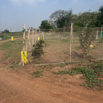 Plot Area in  Plot at Poranki – for Sale