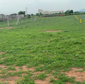  Plot For Sale in Poranki