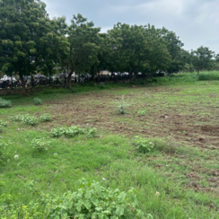 Plot For Sale in Penamaluru
