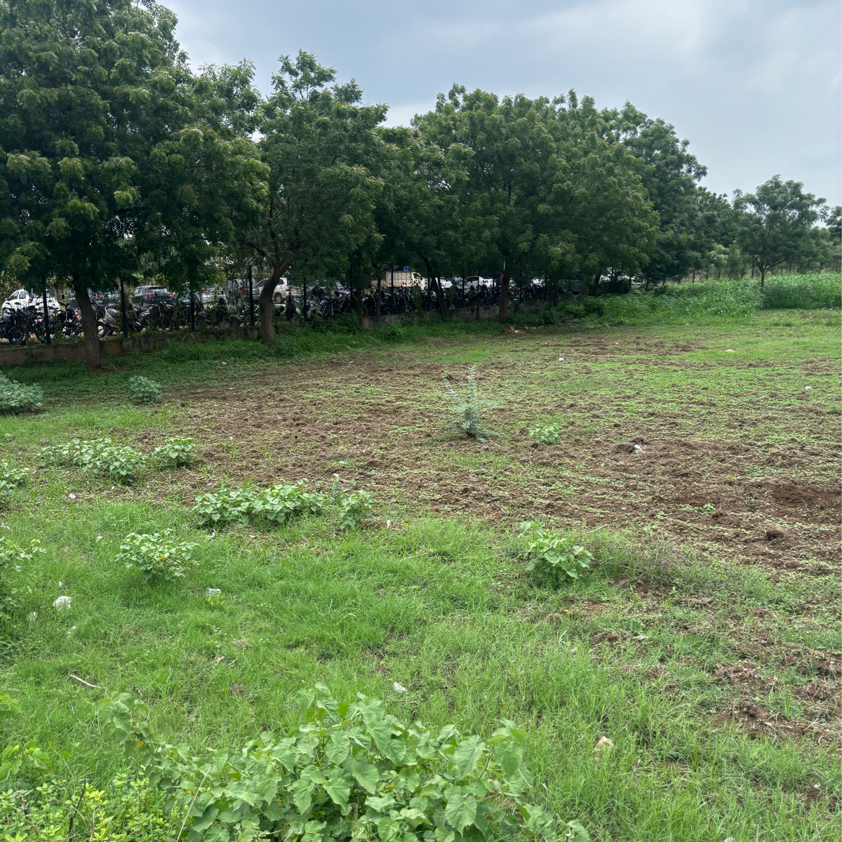 Plot For Sale in Sri Sai Jy Properties Pen