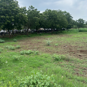Plot Area in  Plot at SSP Sree City Prime, Kankipadu – for Sale