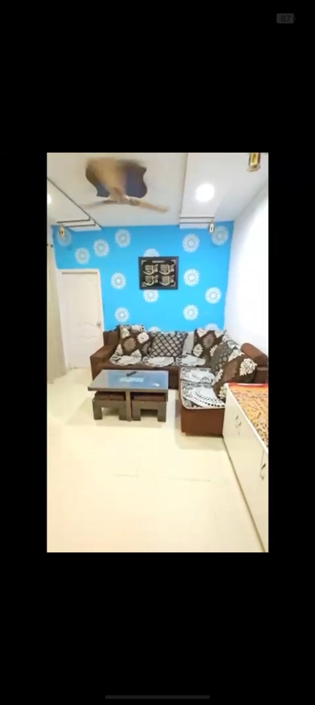 1 BHK Apartment For Rent in Parth CHS Jogeshwari East