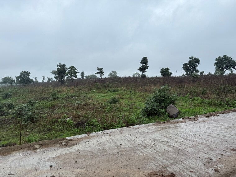 undefined, rolu khedi  11025 Sq.Ft. Plot In Rolu Khedi Bhopal 9059125